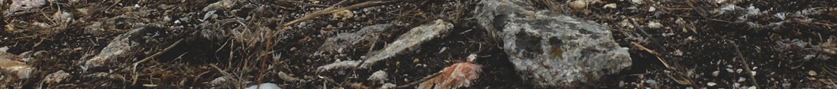 Soil with Rocks